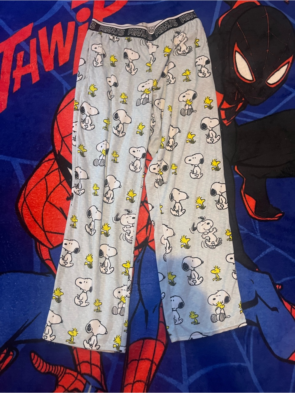 Peanuts Grey Snoopy & Woodstock Lounge Pants with Yellow Accents